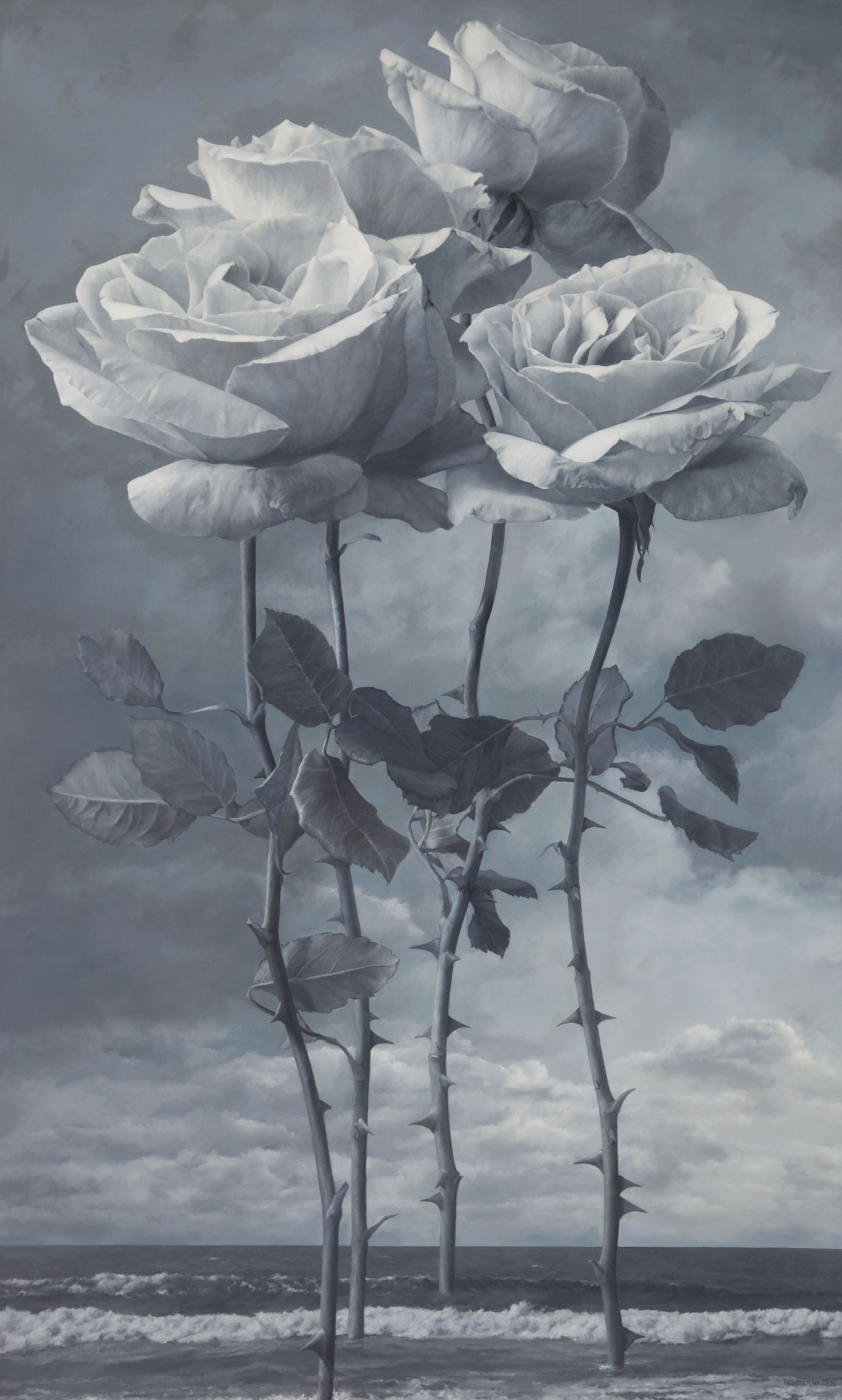 sea pale gray roses